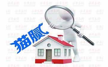 網站建設-獨占網絡 網站建設-獨占網絡