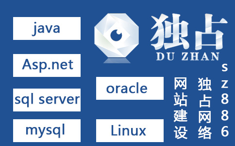 為什么說獨占網絡程序開發能力強