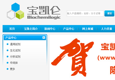 深圳網站建設案例(深圳市寶凱侖科技有限公司)