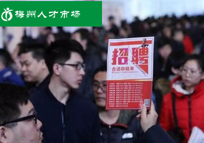 深圳網站建設案例(梅州人才市場（手機版）)