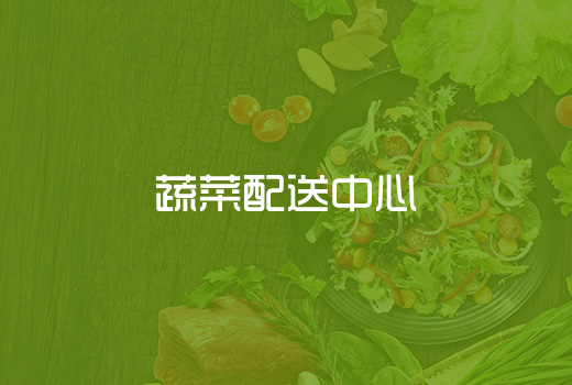 深圳網站建設案例(蔬菜配送商城網站建設)